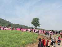 Lost in a Sea of Blossoms: Zhenjiang Shi