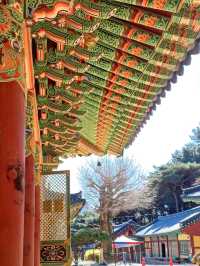 고요하고 평화로운 산책 명소