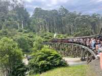 Scenic Journey on the Puffing Billy Railway in Melbourne