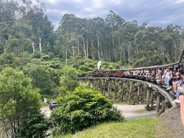 Scenic Journey on the Puffing Billy Railway in Melbourne