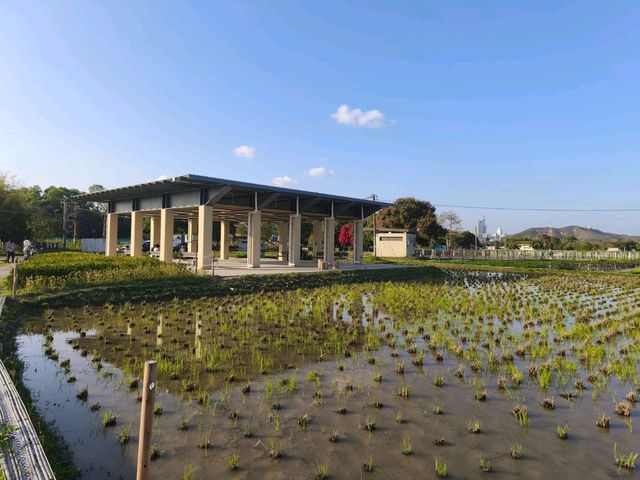 香港罕有的自然生態公園