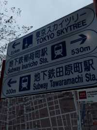 🇯🇵 Tokyo Skytree and Niimi Building: A Skyline and Shopping Adventure