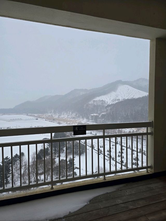 이국적 감성 프렌치가든의 설경이 아름다운곳💜
