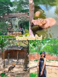 มัดรวม 4 พิกัด เที่ยวเชียงใหม่ 🙏🏼🌳