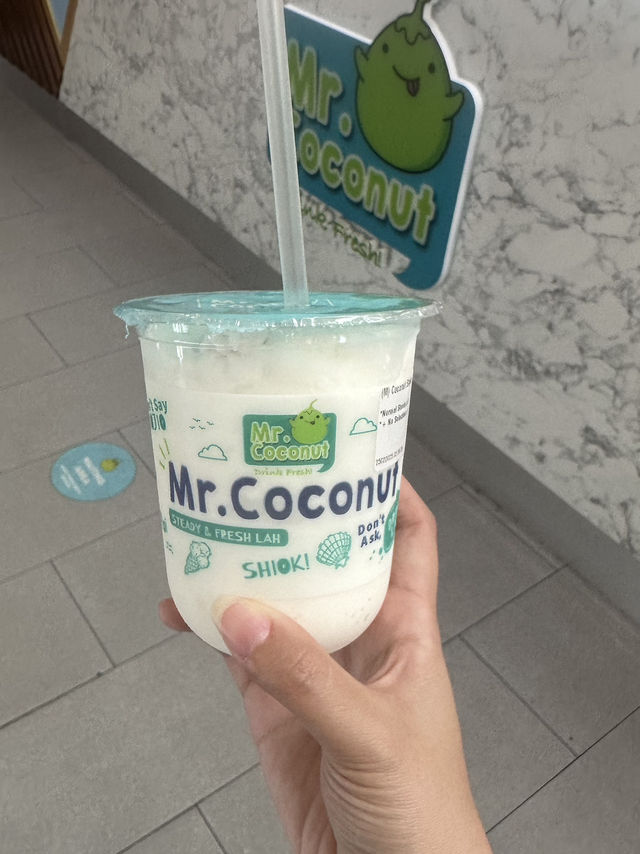 新加坡12小時玩法！