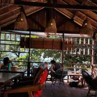 wonderful food and vibe.