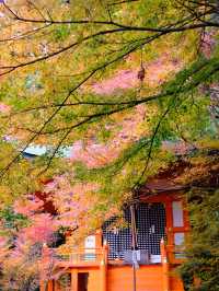 Kyoto - Bishamon-do temple