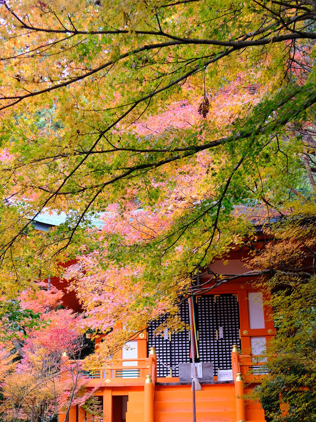 Kyoto - Bishamon-do temple