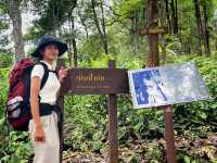 เนินป่าก่อ | ภูสอยดาว