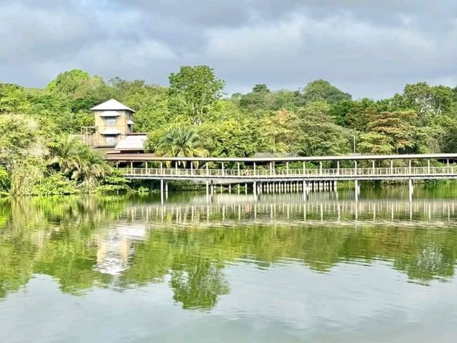 "Mandai Boardwalk: A Tranquil Gateway to Singapore’s Wild Side"