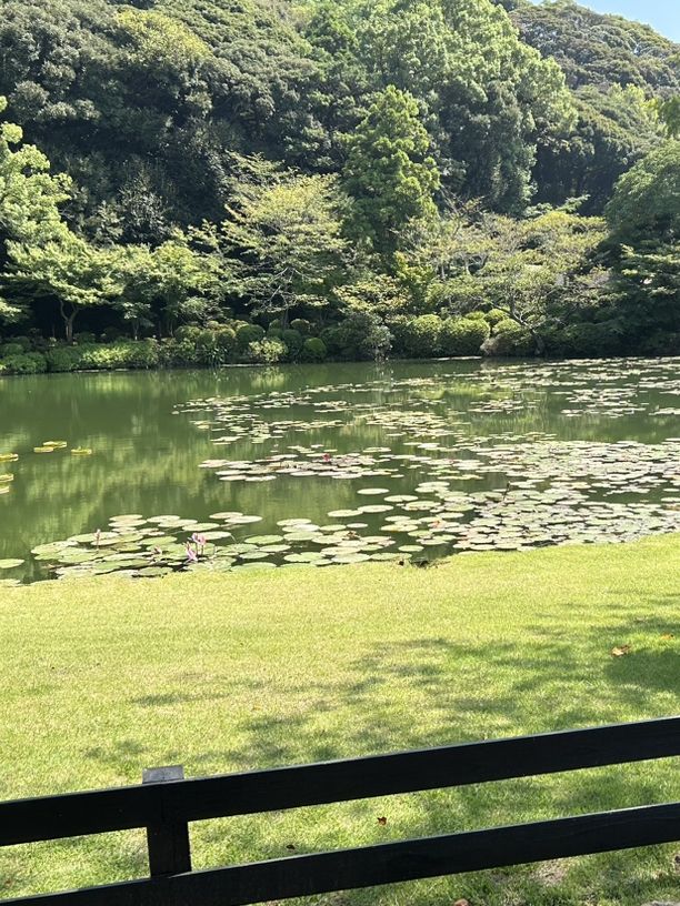 【大分】海地獄、別府地獄めぐり👹