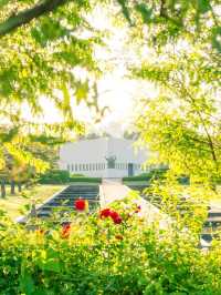 장미꽃들 속에서 산책하기 좋은 “유엔기념공원”🌿