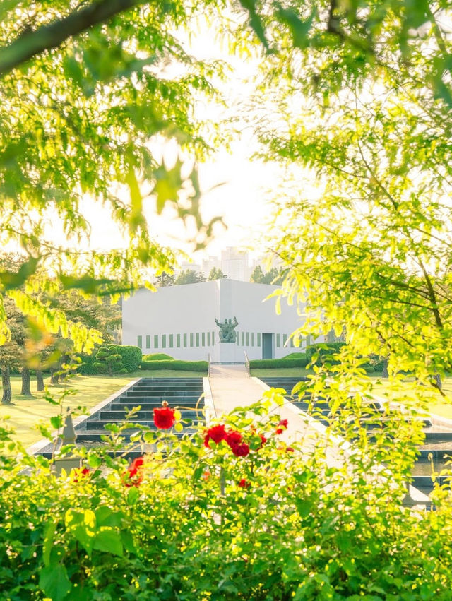 장미꽃들 속에서 산책하기 좋은 “유엔기념공원”🌿