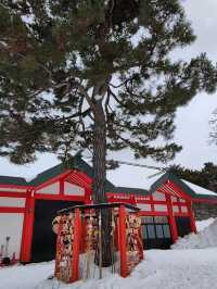 小樽春雪~小樽住吉神社