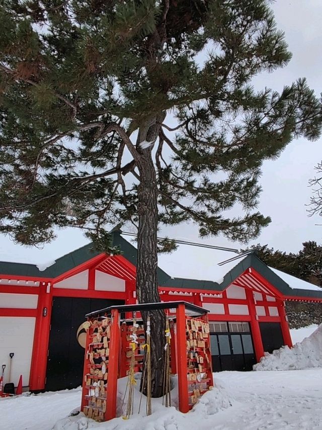 小樽春雪~小樽住吉神社