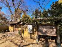 【鶴舞公園】四季を楽しむ！ 桜もバラも絶景の名所