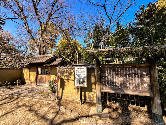 【鶴舞公園】四季を楽しむ！ 桜もバラも絶景の名所