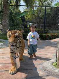 泰國🇹🇭大城動物園