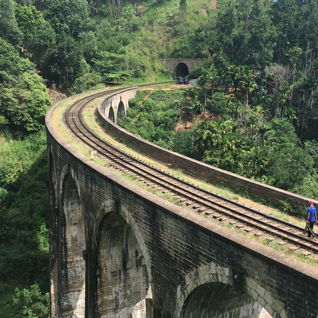 【スリランカ】幻想的な鉄道絶景！ナイン・アーチ・ブリッジ🚂🌿