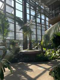 【東京】渋谷にある日本一小さな植物園🪴