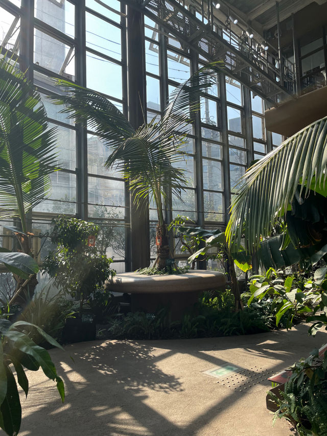 【東京】渋谷にある日本一小さな植物園🪴