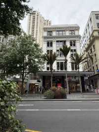 Fall In Love With Downtown Auckland, An Architectural Wonderland 🏢🏙️🌃