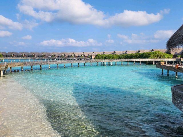[🇲🇻モルディブ] エメラルドの海を眺めながら – 至福のスパ＆ヨガ体験