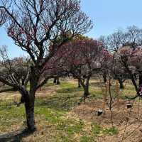 ～水元公園～城市綠意～  