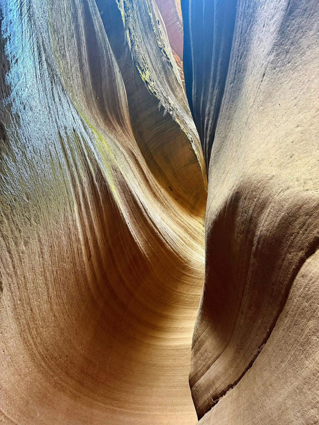 Witness the breathtaking beauty of China’s natural landscapes