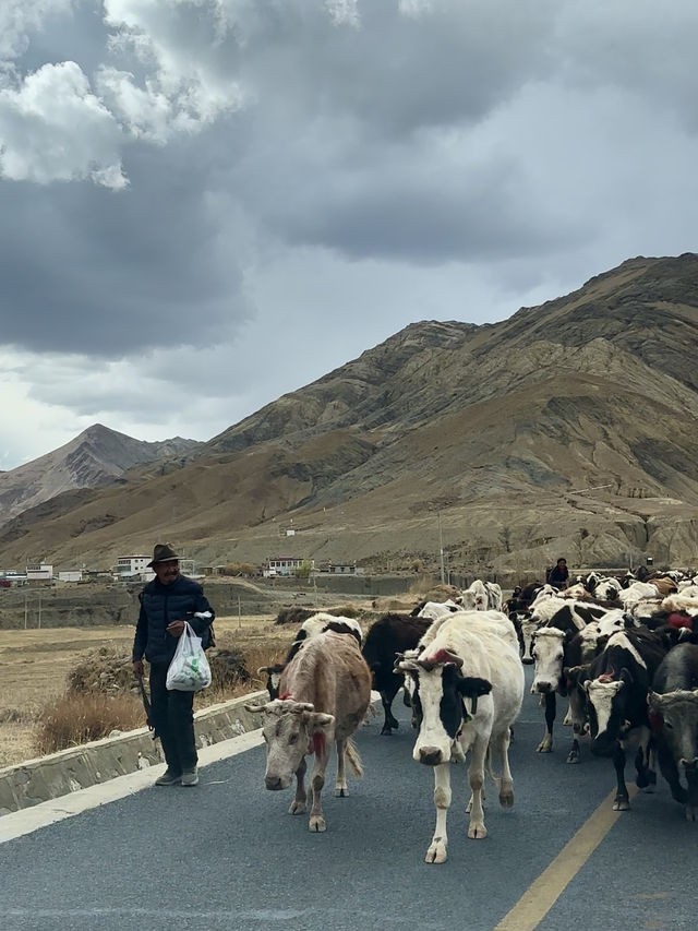A Journey to the Majestic Karola Glacier
