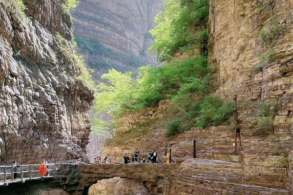 七曲がりの峡谷/Winding Canyons [WTH] 土地R（英）×4枚 七曲がりの峡谷/Winding Canyons》[WTH] 土地R | 日本最大級 MTG