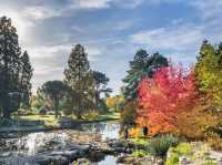Cambridge University Botanic Garden