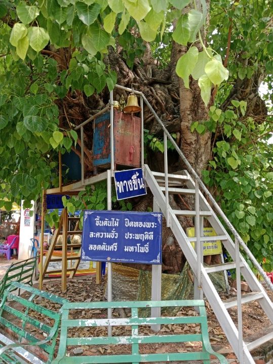 ขอพร วัดราชบูรณะ จังหวัดพิษณุโลก