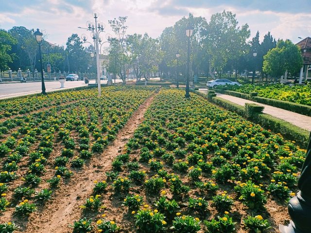 越南大叻著名花園公園景點：Flower garden，適合打卡拍照📸