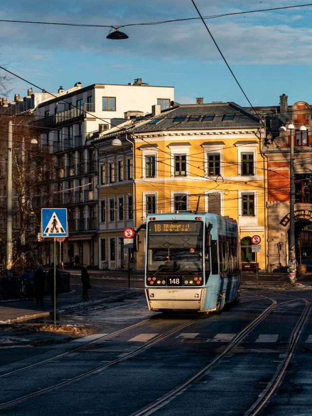 🇳🇴 ノルウェー｜Norway