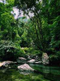中國雲南騰衝著名景點高黎貢山自然保護區徒步旅行攻略，適合打卡拍照📸
