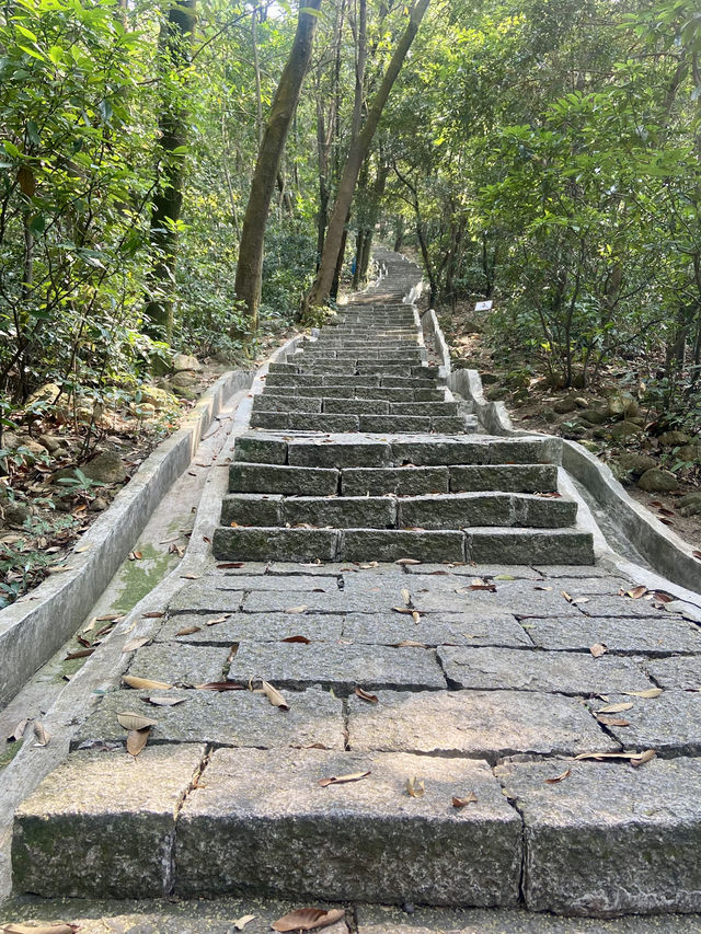 感受大自然的魅力⛰️✨鳳凰山森林公園🧗 