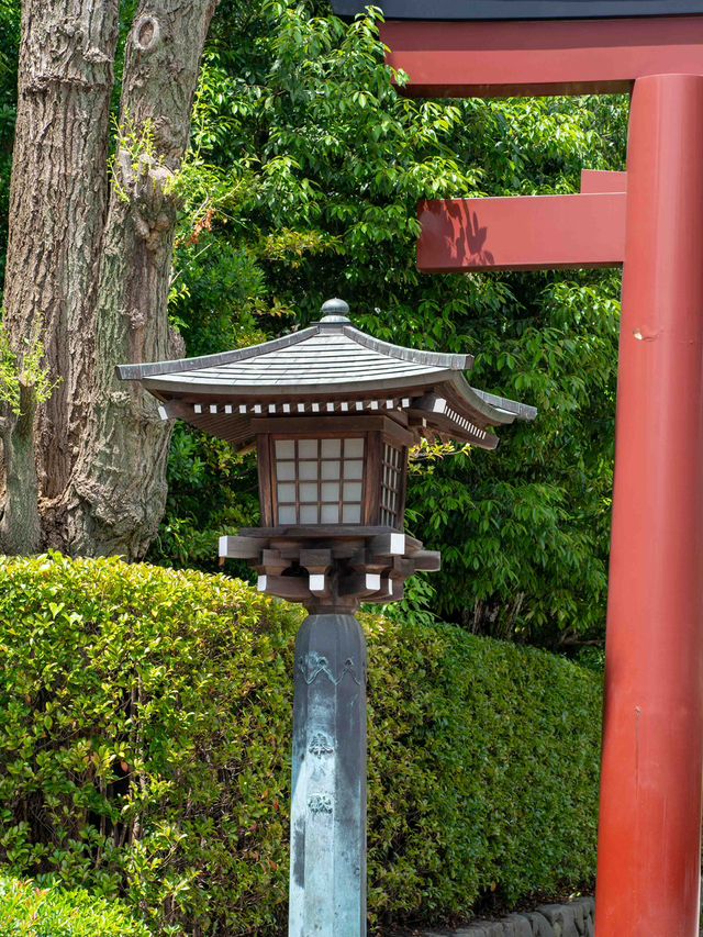 朱のトンネルをくぐって、心が浄化される根津神社⛩️🌿