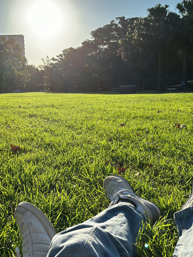 April in Sydney: Sunshine, Street Art & Harbour Views