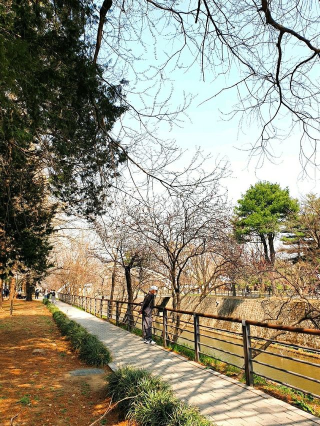 벚꽃잎 휘날리던 시절, 국립서울현충원