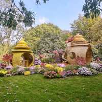 Blossoms and Tranquility: A Day at Hangzhou Botanical Garden