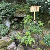金閣寺的金色夢幻：探索京都的歷史瑰寶