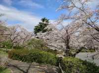 Sakurayama
