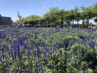 學甲蜀葵花季一日輕旅行～花牆爆炸美