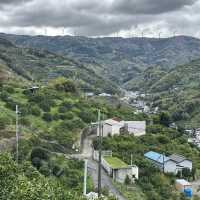 🇯🇵【熊野古道】紀伊路　世界遺産🌎