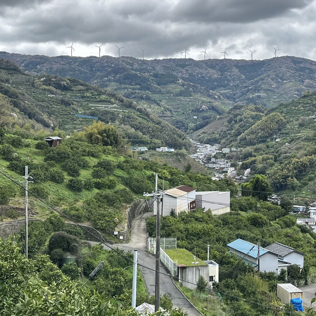 🇯🇵【熊野古道】紀伊路　世界遺産🌎