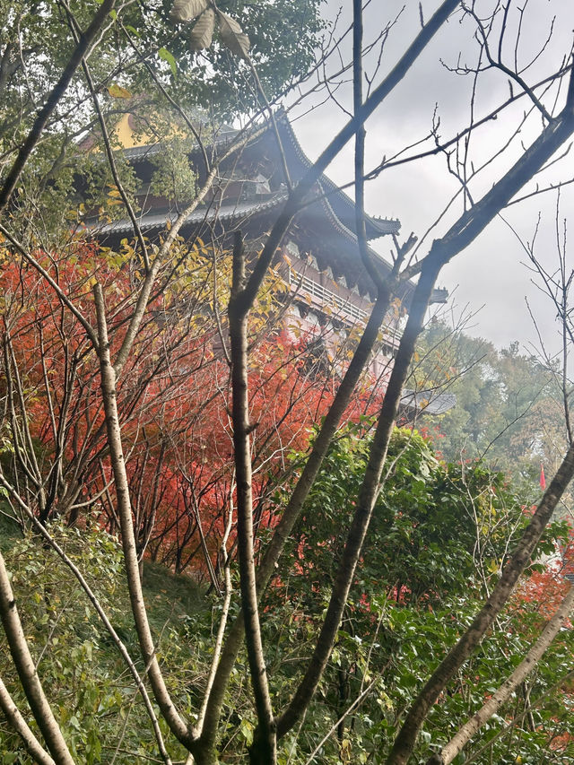 Jingci Temple: Echoes of Serenity Near West Lake 🍃🔔