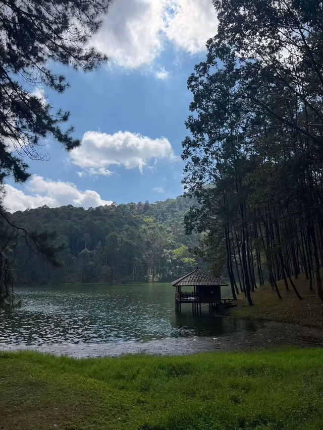 ปางอุ๋ง ⛰️🍃 สักครั้งในชีวิต คุ้มเหนื่อย?