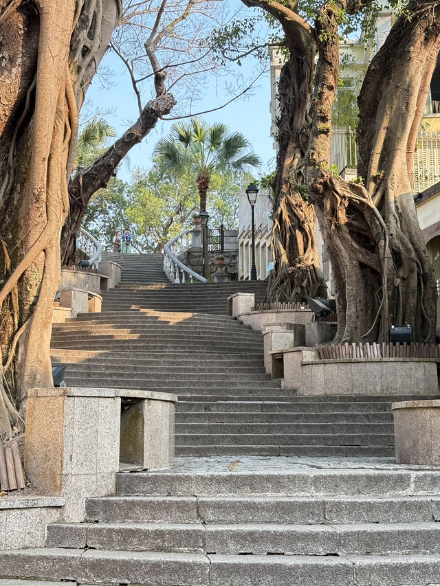 氹仔一日攻略，不走娛樂場，感受我眼中不一樣的澳門