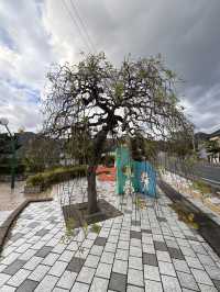 米子｜境港｜駅前公園｜拍照打卡好去處